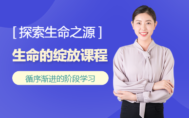 石家庄生命的绽放培训班